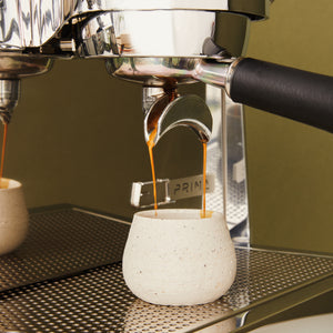 Victoria Arduino Eagle One Prima — home espresso machine
