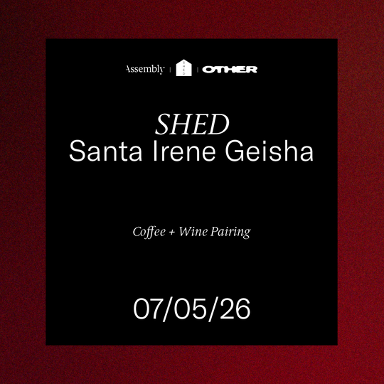 Santa Irene Geisha @ SHED