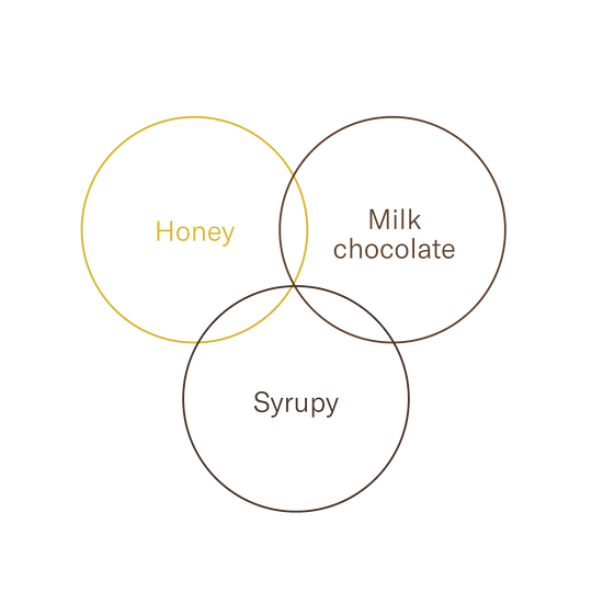 Brazil — Jamilson Cezati