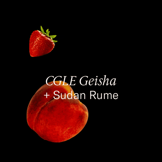 Colombia — CGLE Geisha + Sundan Rume