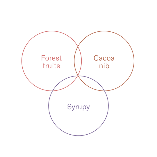 Colombia — Finca Los Nogales x Cata