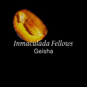 Colombia — Inmaculada Fellows Geisha