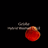 Load image into Gallery viewer, Colombia — Geisha Hybrid Washed CGLE