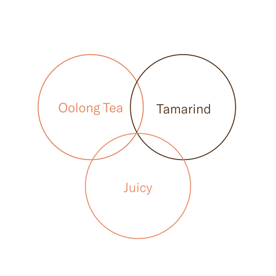 Colombia – Hachi Kibō Geisha Low-Caf