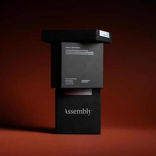 Colombia — Jairo Arcila Strawberry Co-ferment