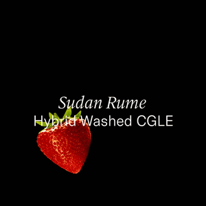 Colombia — Sudan Rume Hybrid Washed CGLE