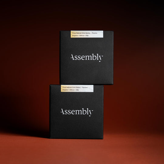 Panama — Finca Deborah Echo Geisha