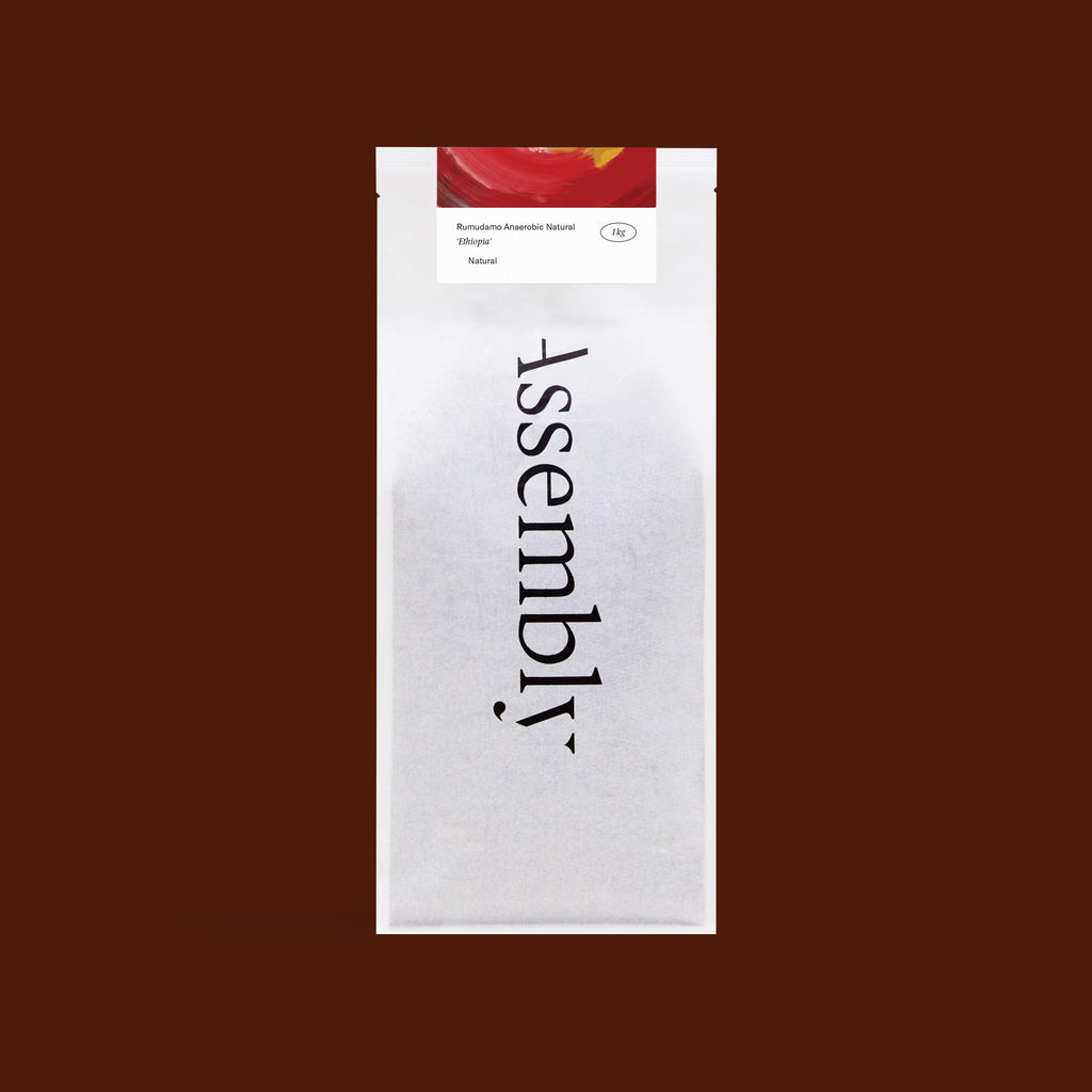 Ethiopia — Rumudamo Anaerobic Natural 2025