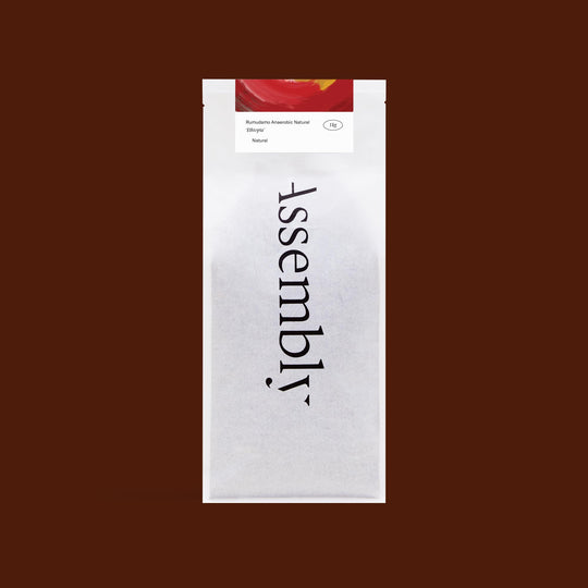 Ethiopia — Rumudamo Anaerobic Natural 2025