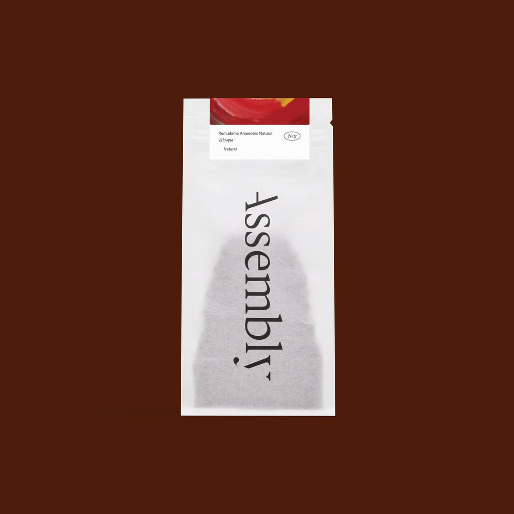 Ethiopia — Rumudamo Anaerobic Natural 2025