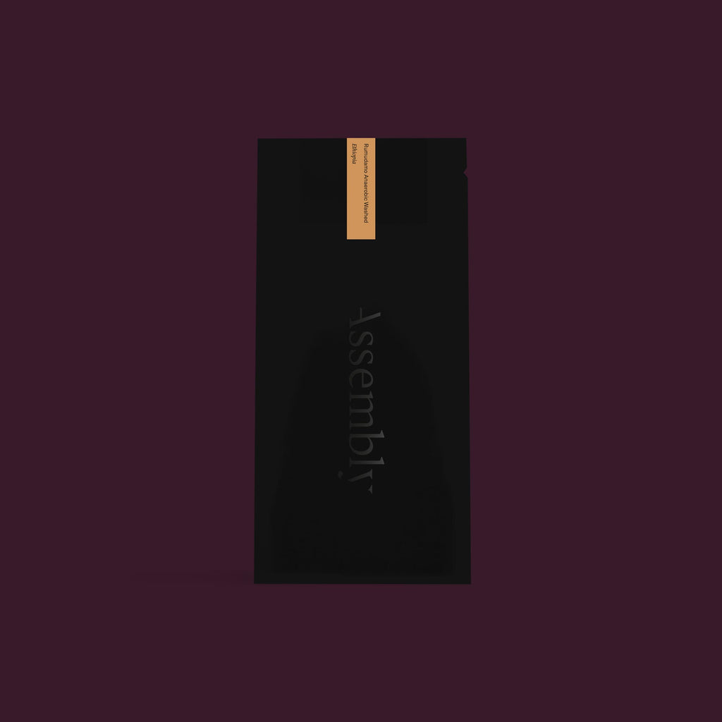 Ethiopia — Rumudamo Anaerobic Washed