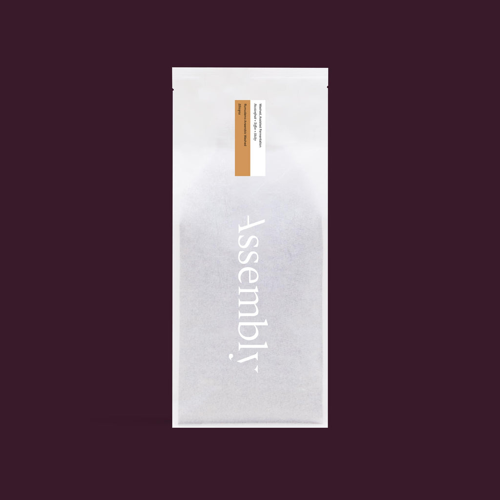 Ethiopia — Rumudamo Anaerobic Washed