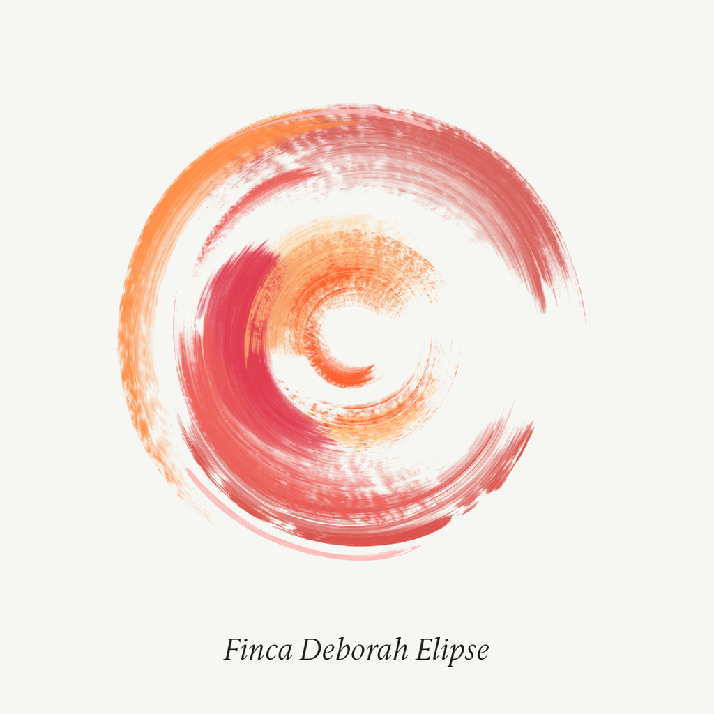 Limited Edition: Finca Deborah Geishas — Elipse + Nirvana