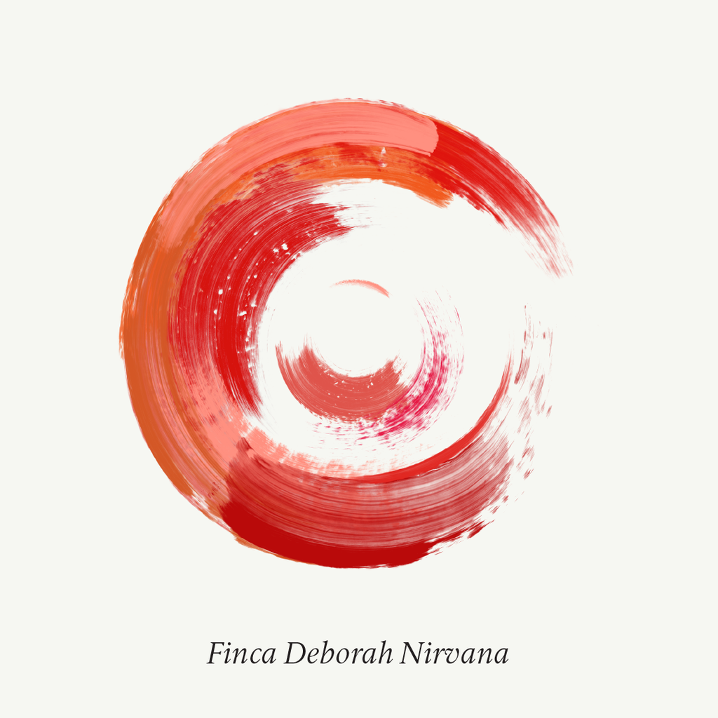 Limited Edition: Finca Deborah Geishas — Elipse + Nirvana