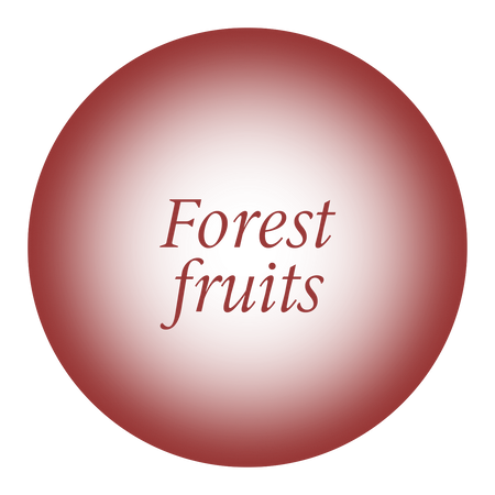 The flavour index — coffee subscription