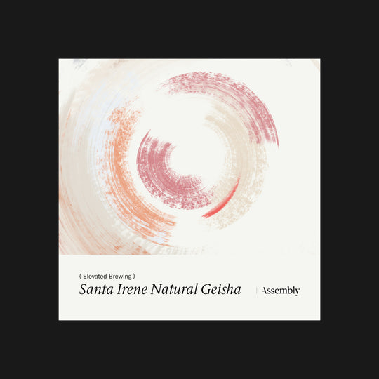 Elevated Brewing : Guatemala - Santa Irene Natural Geisha - Taste Card