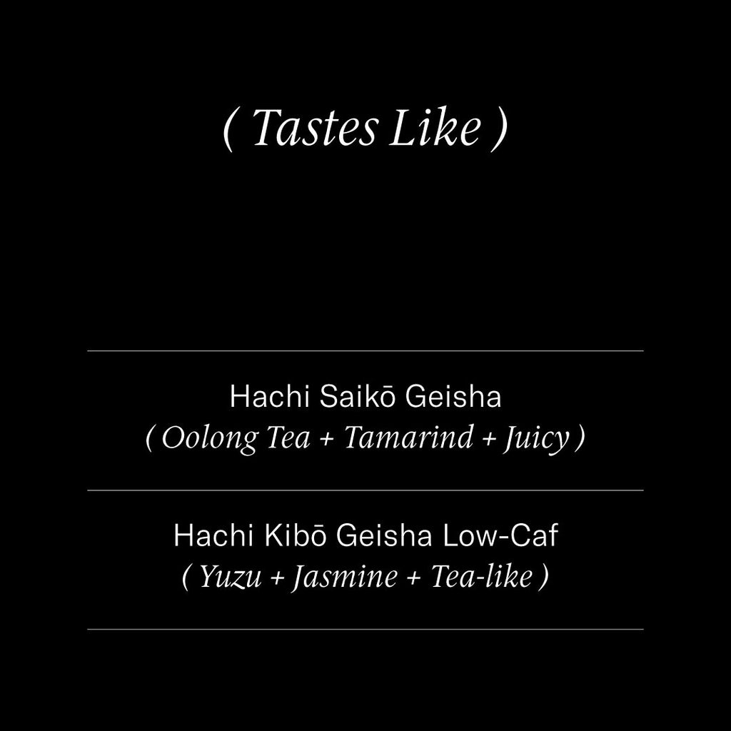 Hachi Geishas: Saikō + Kibō