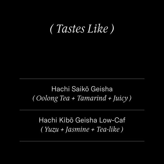 Hachi Geishas: Saikō + Kibō