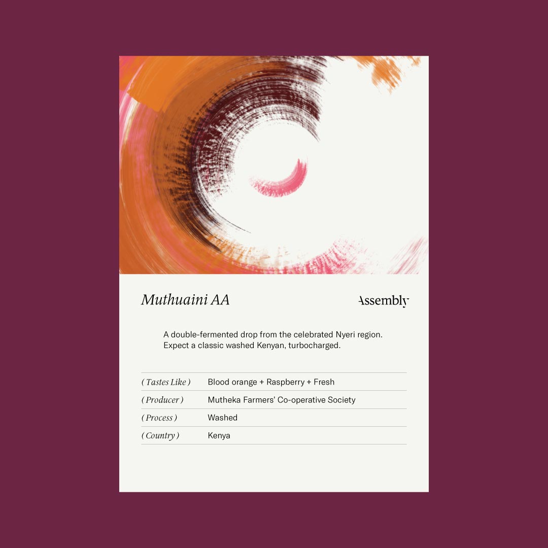 Photo of Kenya — Muthuaini AA Taste Card