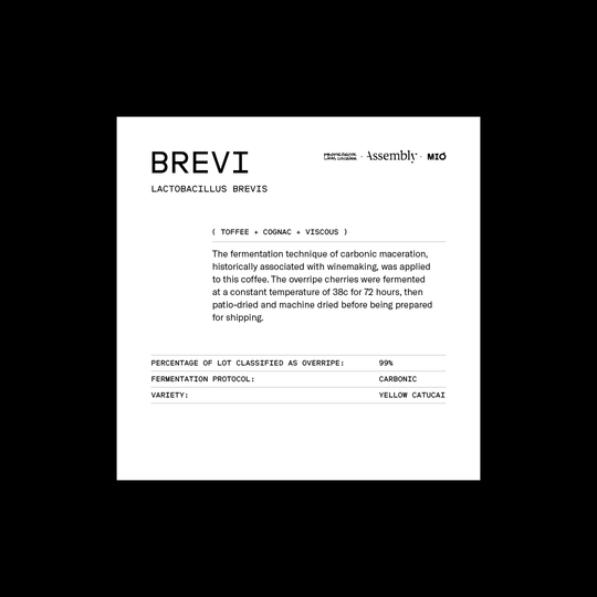 Brazil — Brevi (Overripe Fermentation Series) — Taste Card