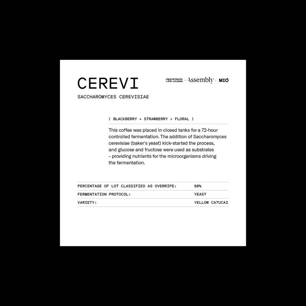 Brazil — Cerevi (Overripe Fermentation Series) — Taste Card