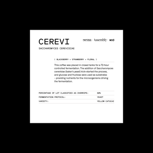 Brazil — Cerevi (Overripe Fermentation Series) — Taste Card