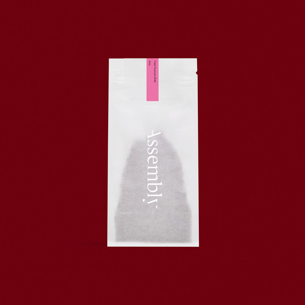 Peru — Fidel Huancas