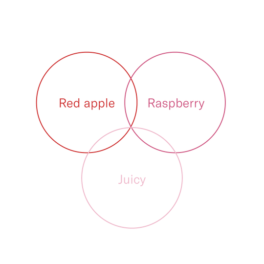 Peru — Fidel Huancas