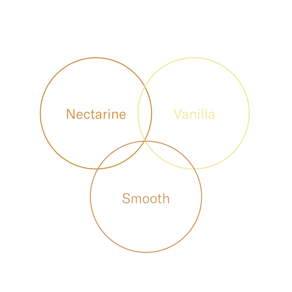 Peru — Rioja Griselda