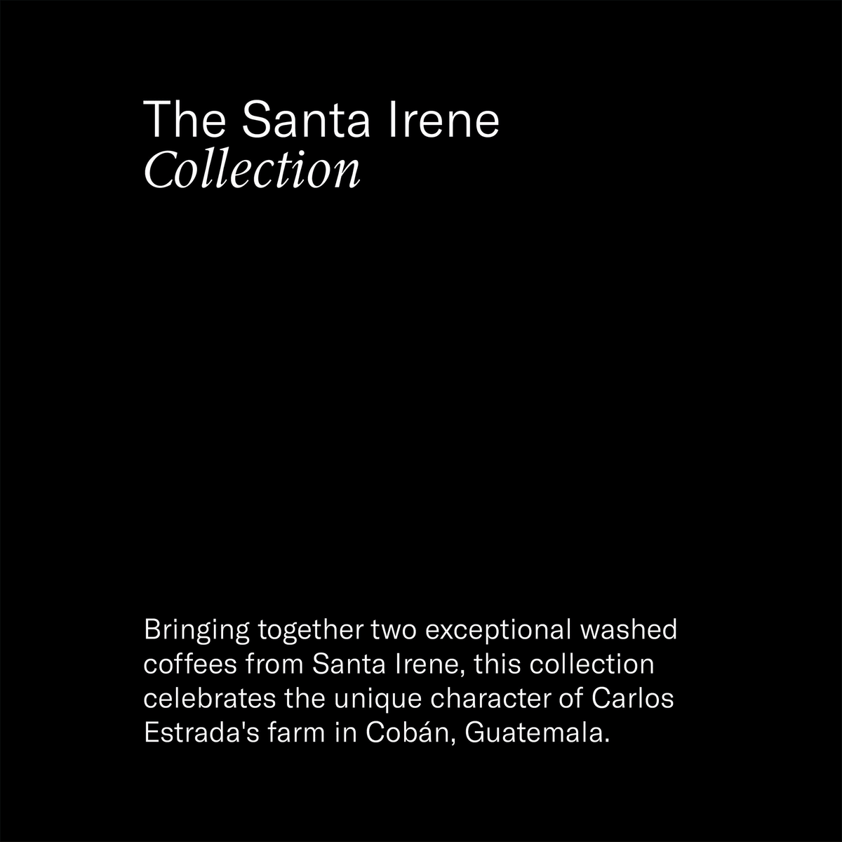 Photo of The Santa Irene Collection