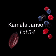 Load image into Gallery viewer, Elevated brewing — Kamala Janson Lot 34 Geisha