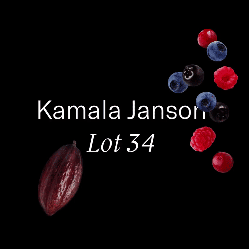 Elevated brewing — Kamala Janson Lot 34 Geisha